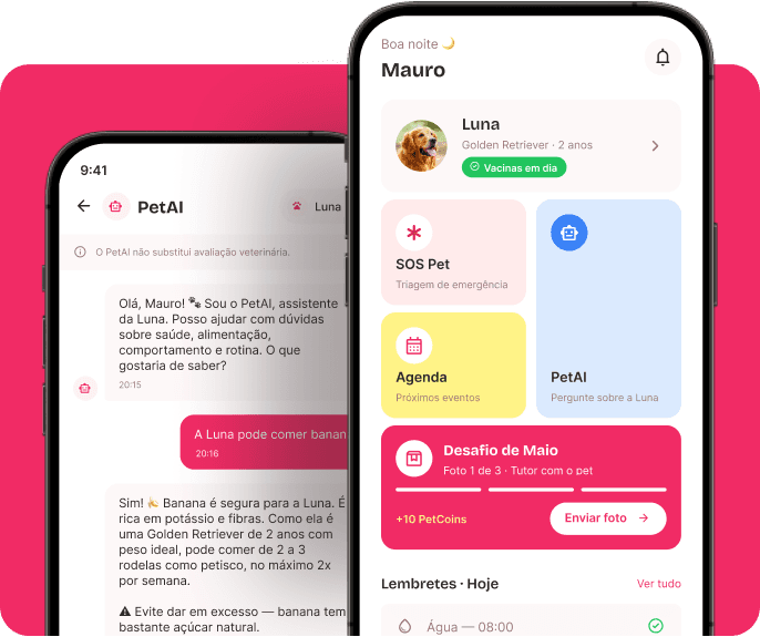 Telas do app Petzay mostrando PetAI e Home